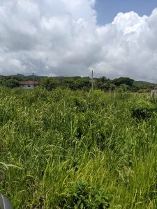 Land for Sale Tower Isle St. Mary